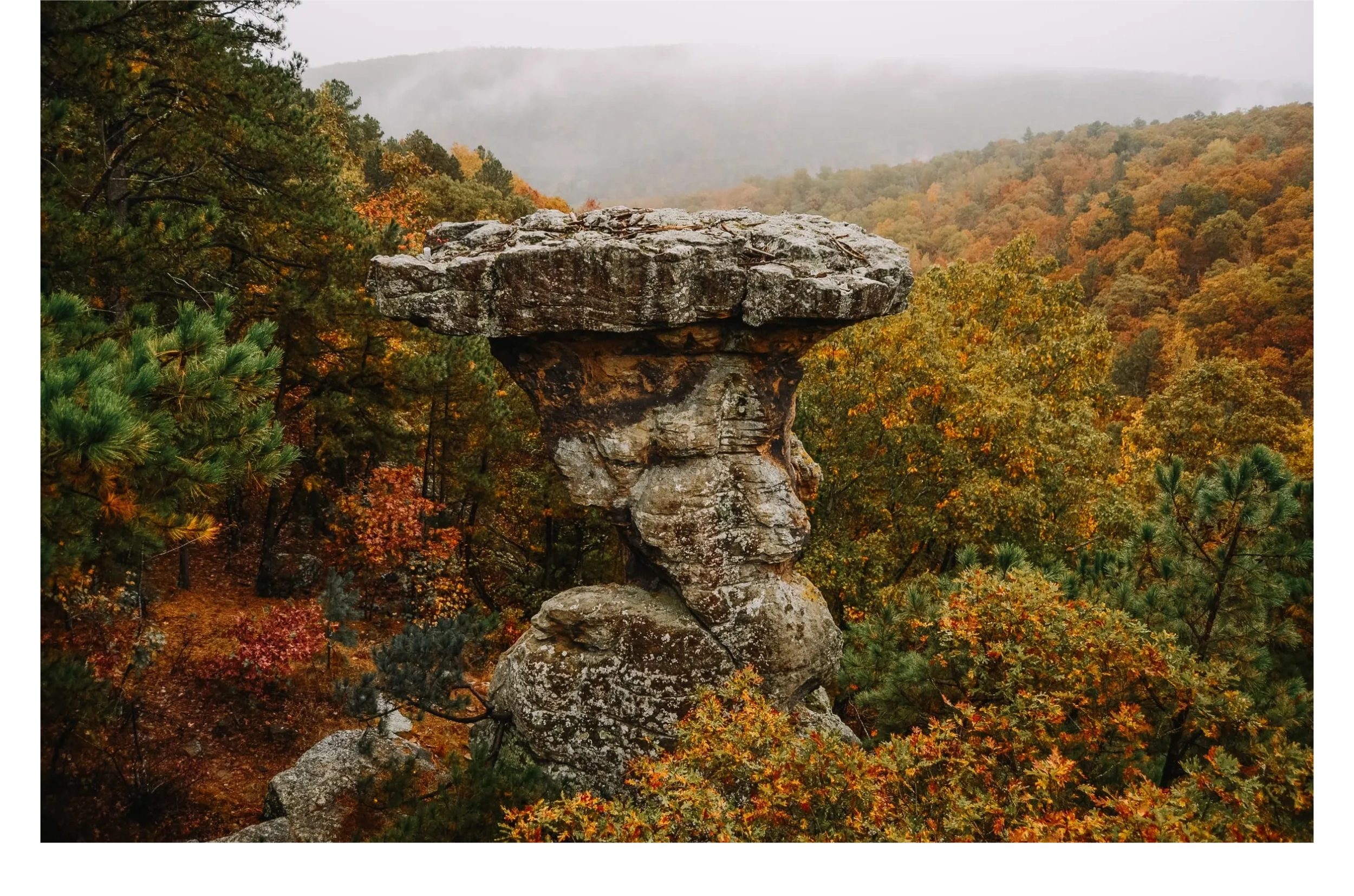 Arkansas Equipment Appraisers - Buffalo River Valley