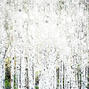 Abstract image of Aspen trees
