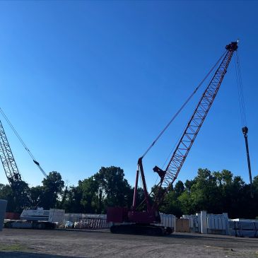 Two large cranes at a construction site under a clear blue sky.