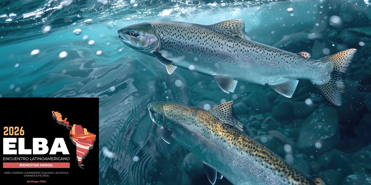 Two fish swim underwater with a Latin American animal welfare event logo.