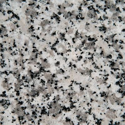 Luna Pearl Granite