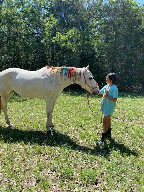 White Horse Ranch photo 2