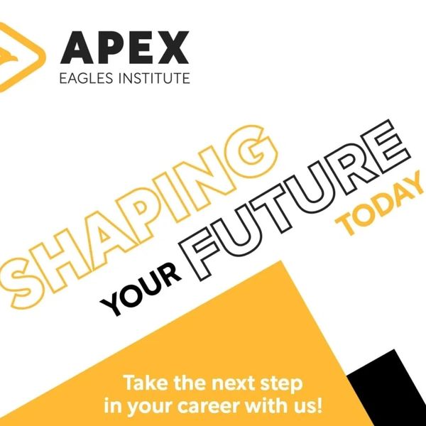 Aim high, dream high, secure your future with Apex Eagles Institute