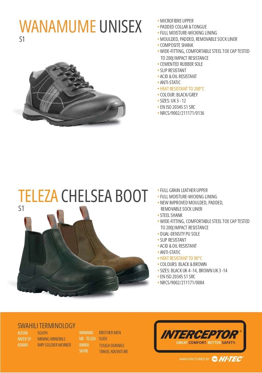 Two styles of unisex safety footwear with detailed specifications.
