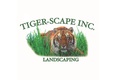 Tiger-Scape