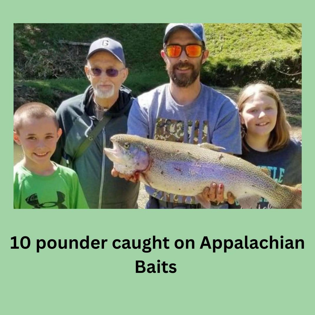 Appalachian Baits Road Kill Sinking Trout Fishing Dough Bait, 2.5 oz