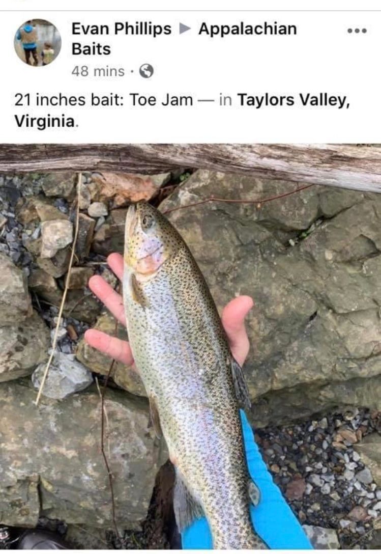 Appalachian Baits - Bait, Fishing Baits, Trout Baits