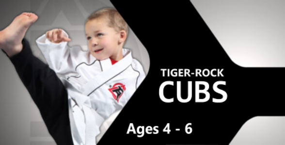 Tiger-Rock  Martial Arts Academy