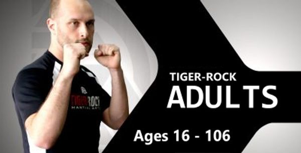 Adult Martial Arts & Self Defense - Tiger Rock Lone Tree