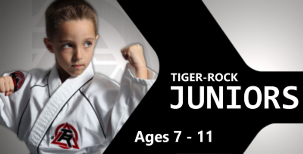 Kids Martial Arts - Tiger Rock Lone Tree