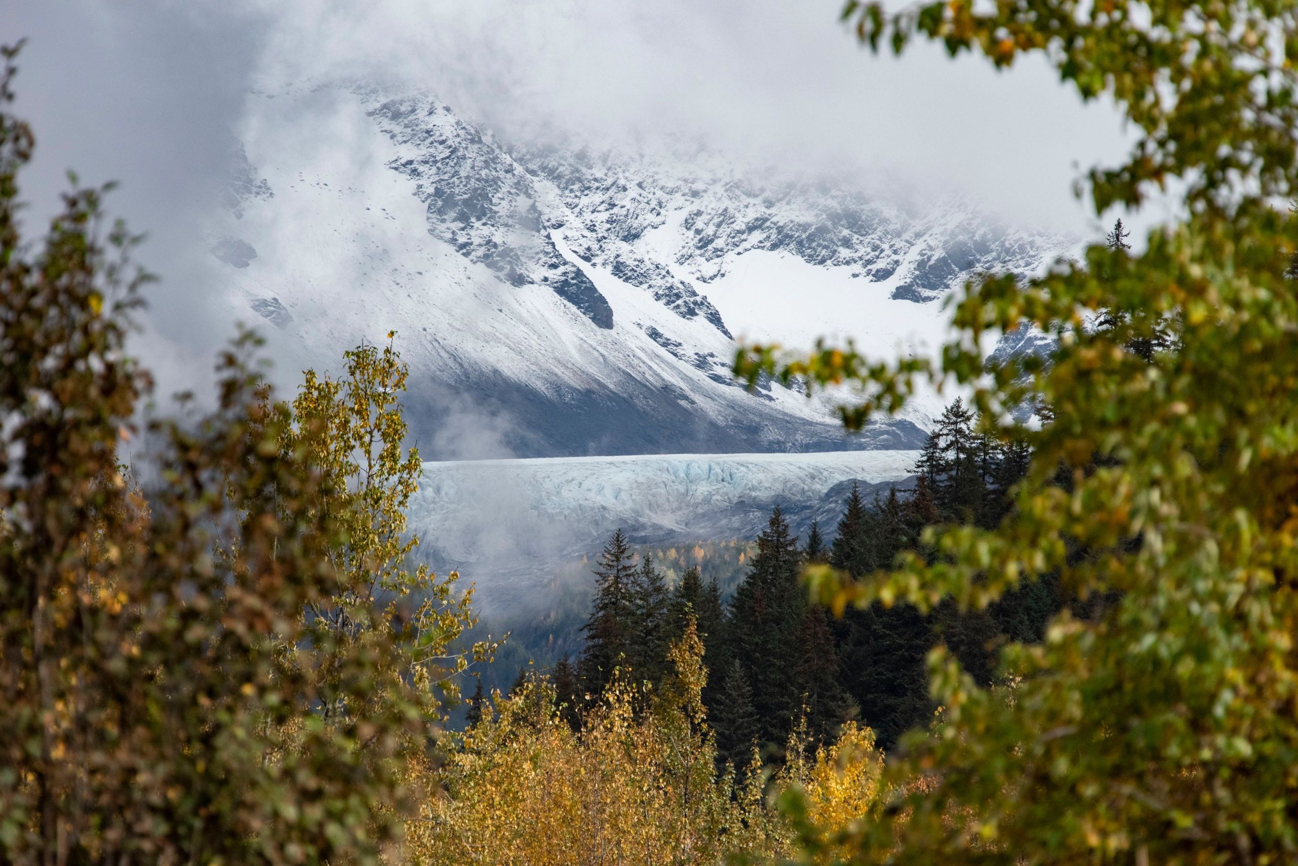 Glacier viewing and hikes, Godwin Glacier in Seward Alaska.