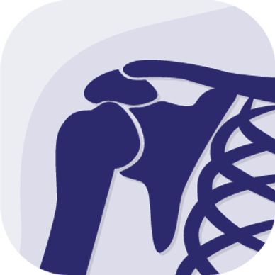 Illustration of a human shoulder joint and upper rib cage in blue.