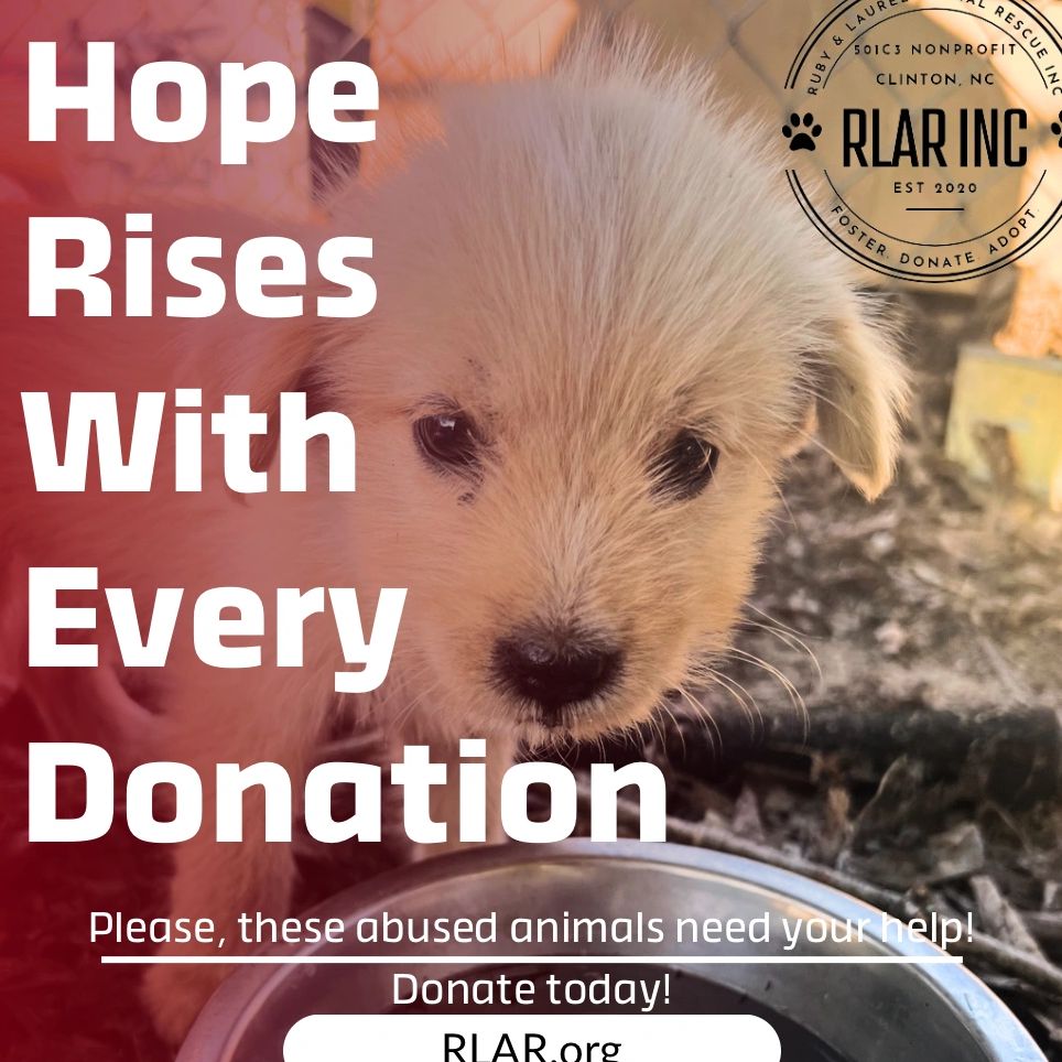 Hope rises with every donation 