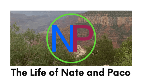 Nate and Paco's Life