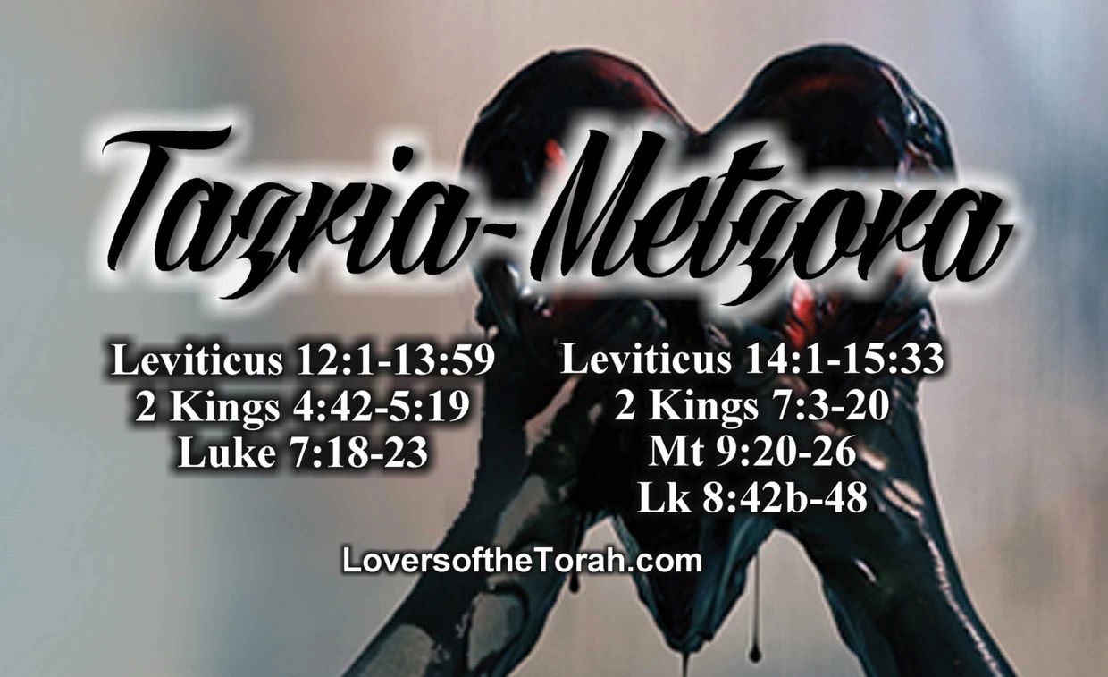 Tazria-Metzora Torah portion with related scripture references and a background image of hands forming a heart.