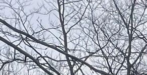 BLS Transit & Supply, Sewickley, PA Landscaping Materials