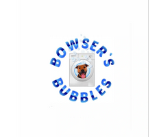  Bowser's Bubbles  
