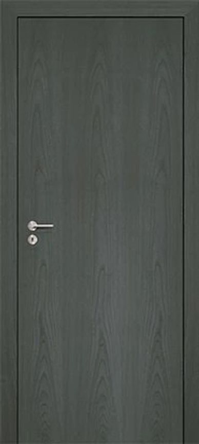Dark wood grain interior door with minimalist silver handle and seamless vertical pattern.