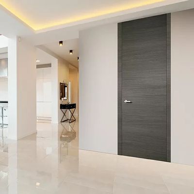 Contemporary interior door in dark wood finish, sleek design for modern luxury home interiors.