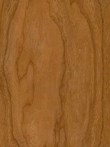 Center cut oak veneer with rich natural grain and subtle knots for modern interior doors 