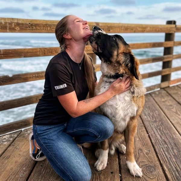 Dog Trainer
St. Berdoodle
Saint Bernard / Poodle Mix
Beach