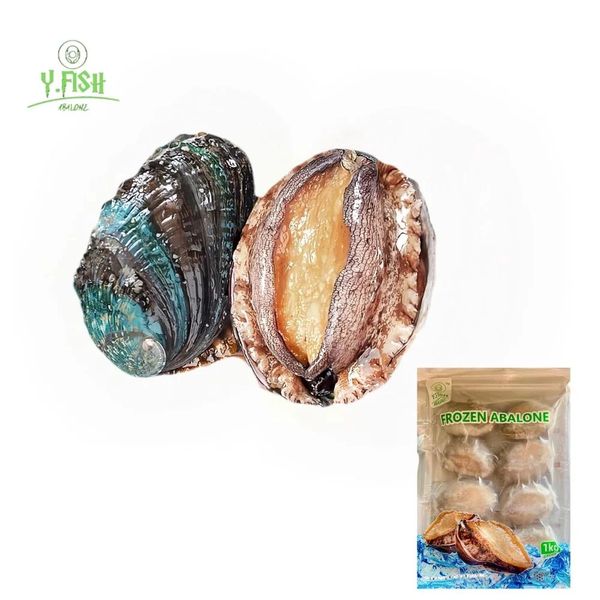 Fresh Live Frozen Half shell Abalone, Suitable for all kind of Cooking, especially Hot Pot.
