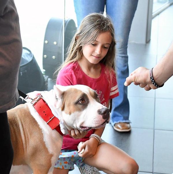 Adoption event at The Porsche Dealership Event in Brentwood September 11th.