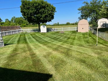 Lawn Maintenance