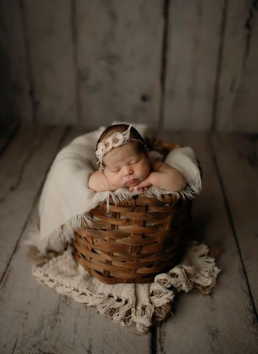 newborn photoin basket in studio in tuscaloosa alabama. Posed newborn photography. 