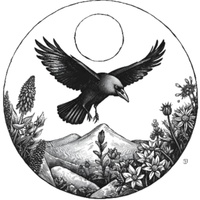 Raven's Hill Holistics