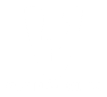 Vibral Electric Guitars