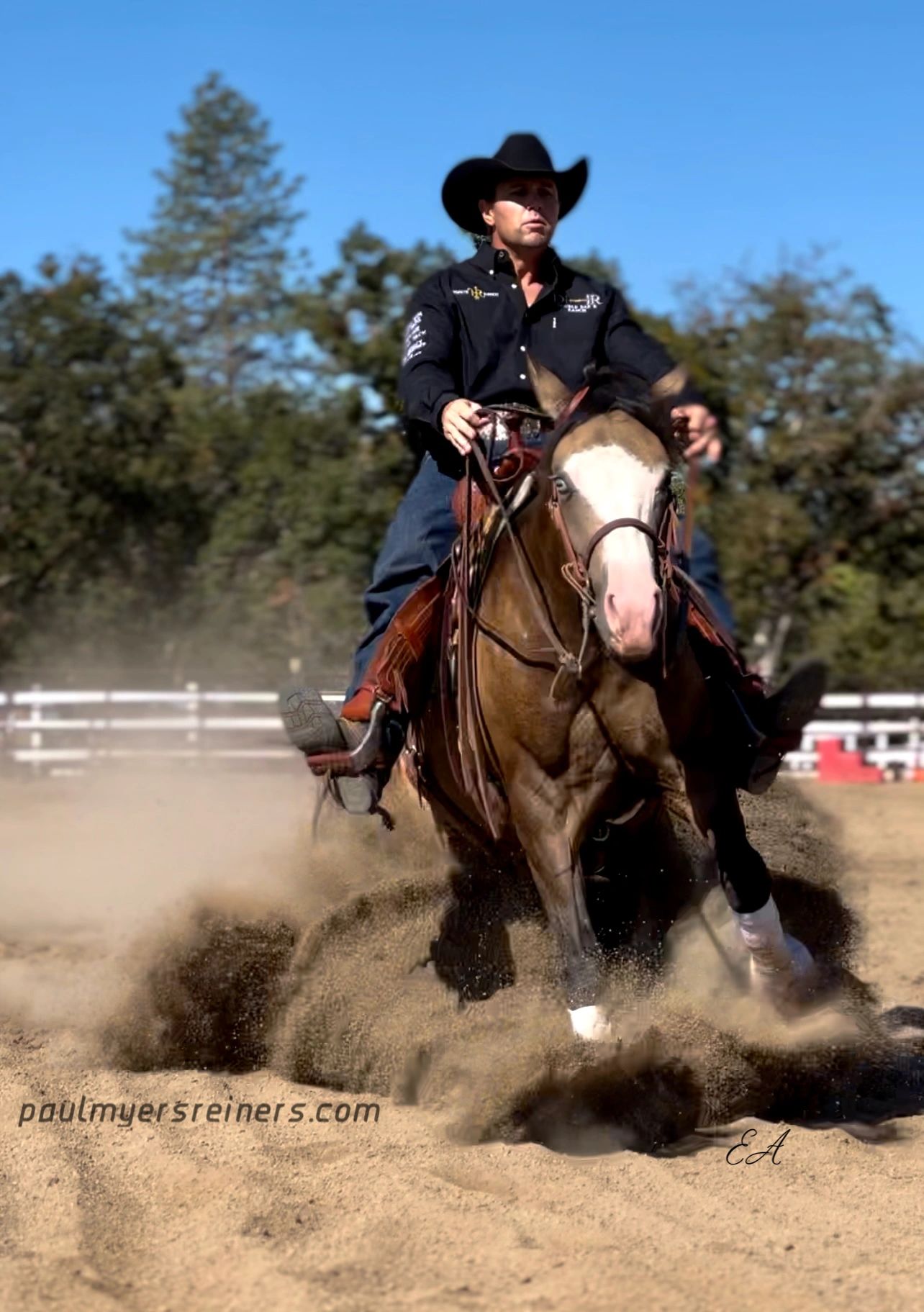 Paul Myers Performance Horses Performance Horse Training, Quarter