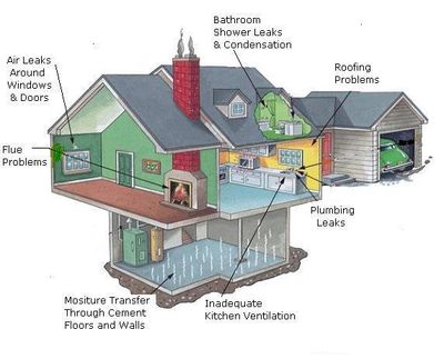 water damage restoration
air quality testing
mold removal
mold assessment
black mold
mold testing