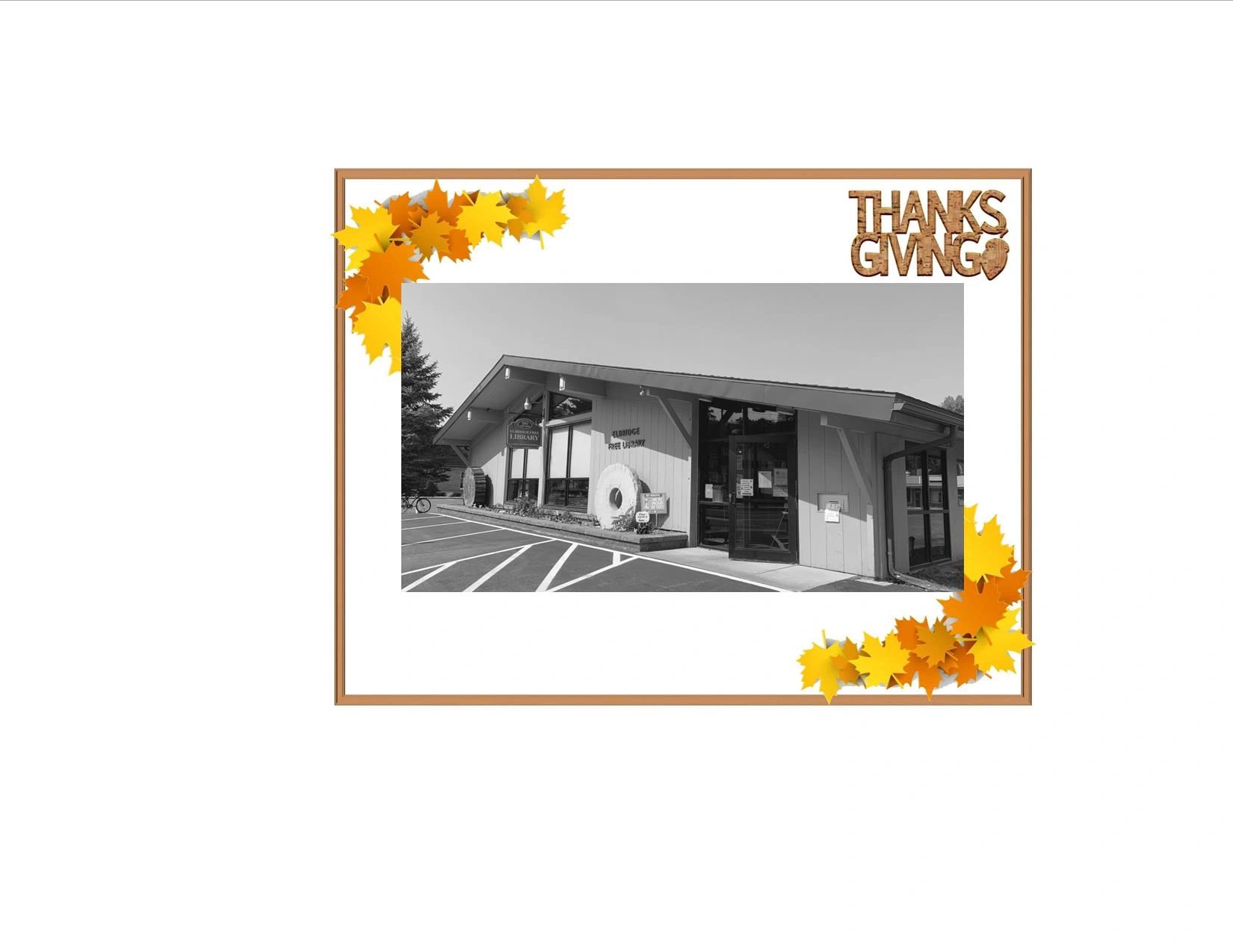 New Arrivals Elbridge Free Library