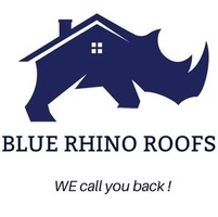 Blue Rhino Roofs
