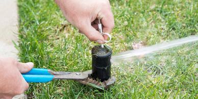 Sprinkler repair head adjustment