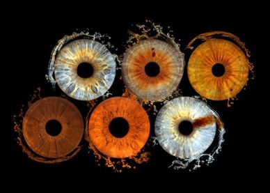 Six colorful swirling ring patterns on a black background.