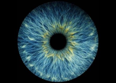 Close-up of a blue human iris.