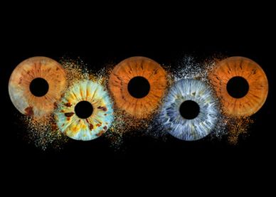 Colored iris patterns with particle effects on black background.
