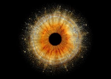 Close-up of an eye with a vibrant orange iris.