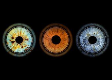 Three close-up images of different colored human irises.