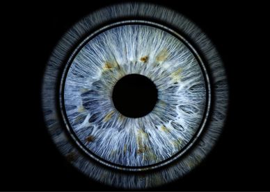 Close-up of a blue eye iris with detailed patterns.