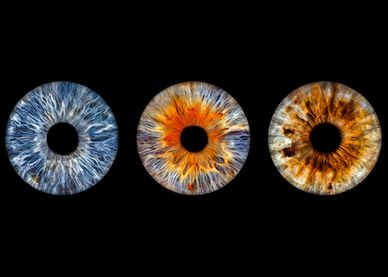 Three detailed iris close-ups in blue, orange, and brown.