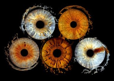 Five artistic eye iris images with splashes.