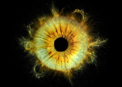 Close-up of a vibrant eye with light effects.