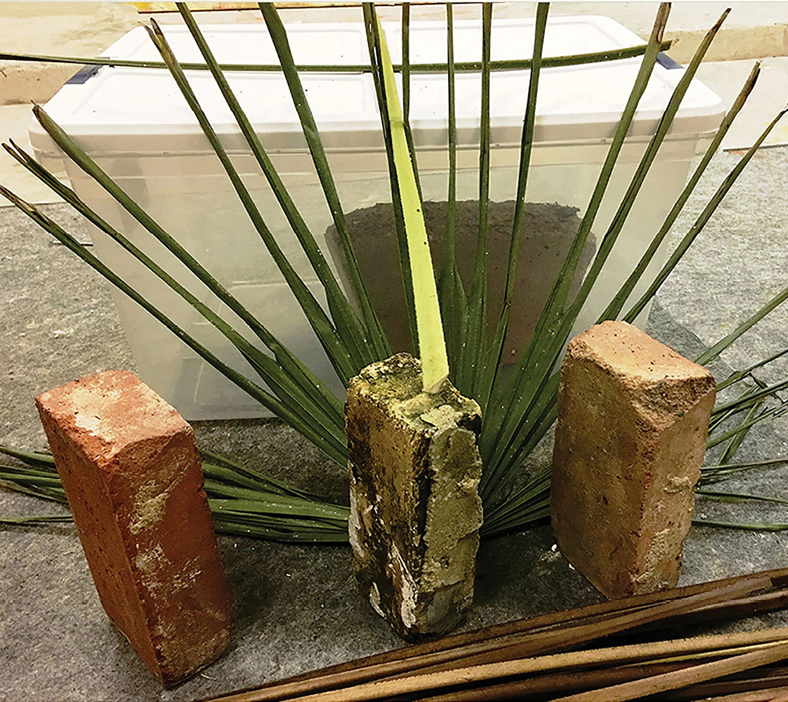 Private Revelation. 2019. Austin, TX