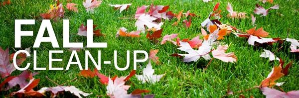Edmonton, Edmonton Lawn Care, Edmonton Spring Clean up, Spring clean up Edmonton, Spring clean up 