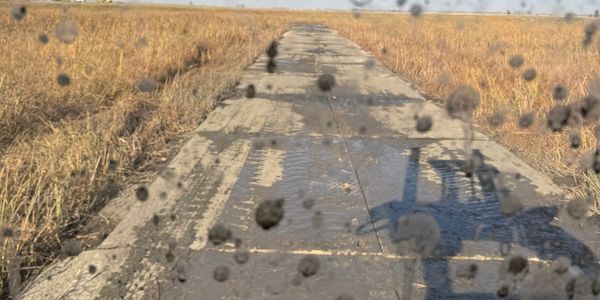 Installing temporary road in swamp
