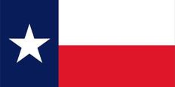state of texas flag 
