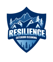 Resilience Exterior Cleaning